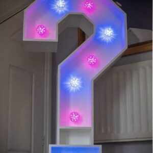 Gender Reveal Light Up LED Question Mark