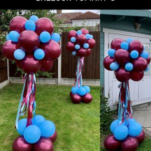 Balloon Topiarys